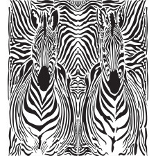 Safari Zebra Stripe Duvet Cover Set