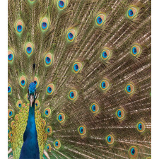 Peacock Making the Wheel Duvet Cover Set