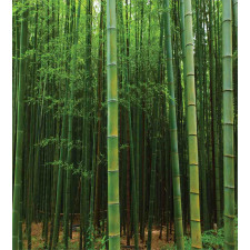 Exotic Bamboo Tree Forest Duvet Cover Set