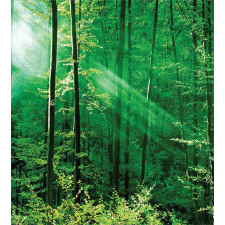 Forest Trees Morning Duvet Cover Set