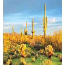 Sonoran Desert Blooms Duvet Cover Set