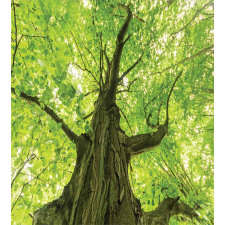 Old Big Majestic Tree Duvet Cover Set