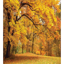 Fall Pale Maple Trees Duvet Cover Set