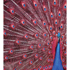 Peacock Bird Surreal Duvet Cover Set