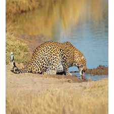 Leopard in Safari Duvet Cover Set
