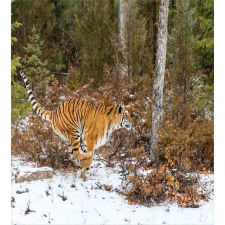 Bengal Tiger Wild Animal Duvet Cover Set