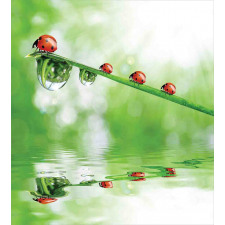 Ladybug on Water Image Duvet Cover Set