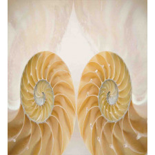 Symmetrical Seashells Duvet Cover Set