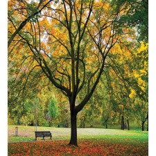 Autumn Park Leaves Nature Duvet Cover Set