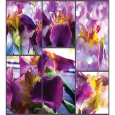 Blooming Iris Flowers Duvet Cover Set