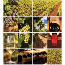 Vineyard Grapes Landscapes Duvet Cover Set