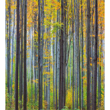 Autumn Season Beech Forest Duvet Cover Set