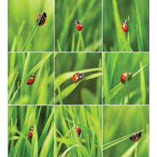 Ladybug over Fresh Grass Duvet Cover Set