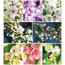 Spring Scenery Collage Duvet Cover Set