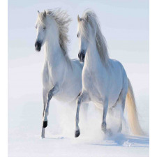Wintertime Horse Animal Duvet Cover Set