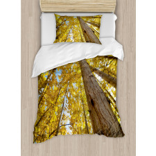 Aspen Trees in Forest Duvet Cover Set