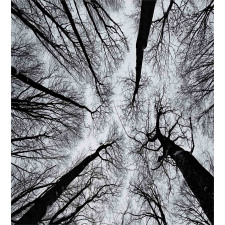 Dark Winter Forest Tree Duvet Cover Set