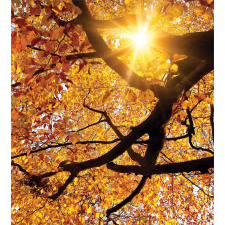 Sun in October Harvest Duvet Cover Set