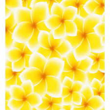 Plumeria Flower Blossoms Duvet Cover Set