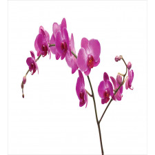 Wild Orchids Petals Duvet Cover Set