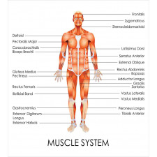 Biology Muscle System Duvet Cover Set