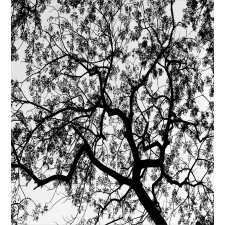 Spooky Black Tree Branch Duvet Cover Set