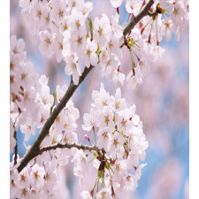 Floral Cherry Branches Duvet Cover Set