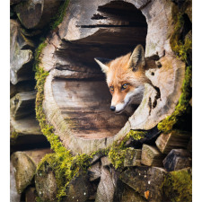 Nature Wild Fox Forest Duvet Cover Set