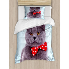 Grey Scottish Fold Theme Duvet Cover Set