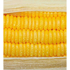 Corn Stem with Raindrops Duvet Cover Set