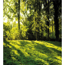 Rising Sun Beams Forest Duvet Cover Set