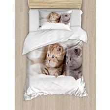 Scottish Fold Kittens Duvet Cover Set