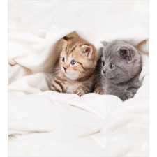 Scottish Fold Kittens Duvet Cover Set