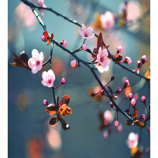Blooming Sakura Flowers Duvet Cover Set