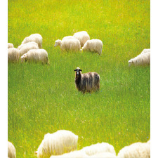 Black Sheep White Goats Duvet Cover Set