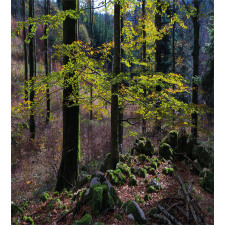 Trees Autumn Wilderness Duvet Cover Set