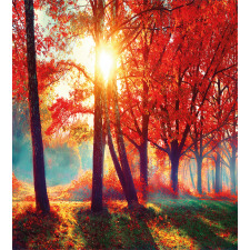 Foggy Autumnal Park Scenic Duvet Cover Set