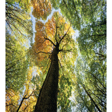 Forest Autumn Growth Eco Duvet Cover Set