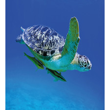 Tropics Turtle Aquarium Duvet Cover Set
