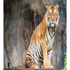 Bengal Tiger Cat Predator Duvet Cover Set