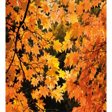 Vivid Autumn Maple Leaves Duvet Cover Set