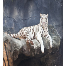 Wildlife Cat on the Rock Duvet Cover Set