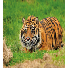 Sumatran Feline Ambush Duvet Cover Set