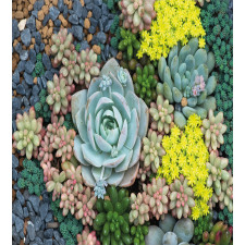 Miniature Plants Stones Duvet Cover Set