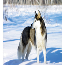 Husky on Snow Duvet Cover Set