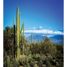 Tucson Countryside Cacti Duvet Cover Set