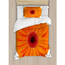 Vivid Flower of Gerbera Duvet Cover Set