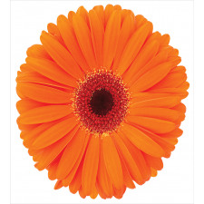 Vivid Flower of Gerbera Duvet Cover Set