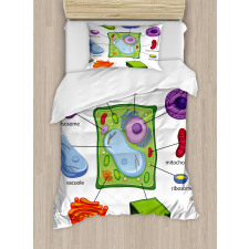 Cartoon Science Duvet Cover Set