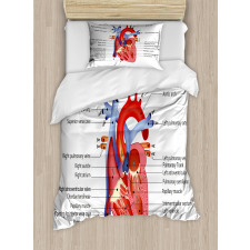 Human Body Organ Duvet Cover Set